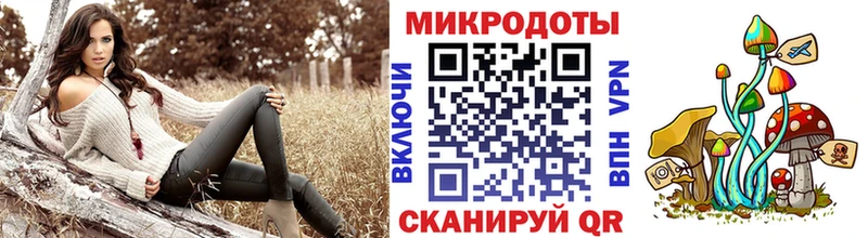 Псилоцибиновые грибы мицелий  Купить  Гудермес 